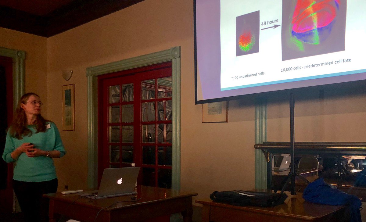 Prof. Leonie Quinn tweet media