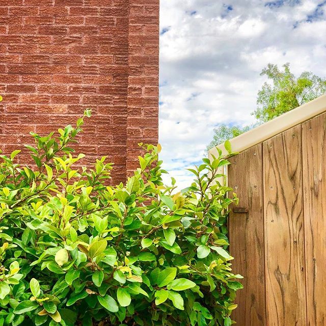 Mark Newhouse tweet media