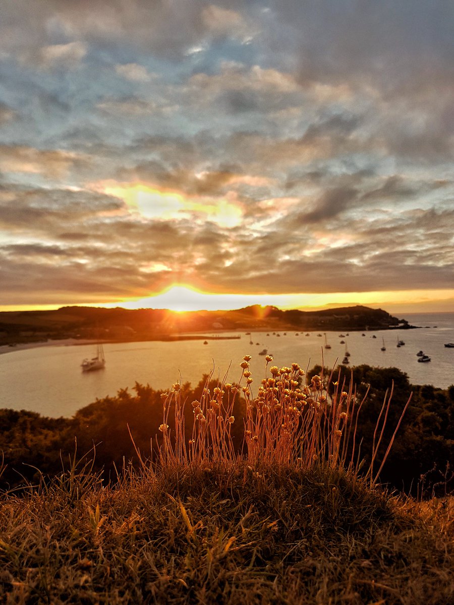 TrescoIsland's tweet photo. Summer evenings on Tresco ☀️🌊 https://t.co/l53SnQL9Xs
