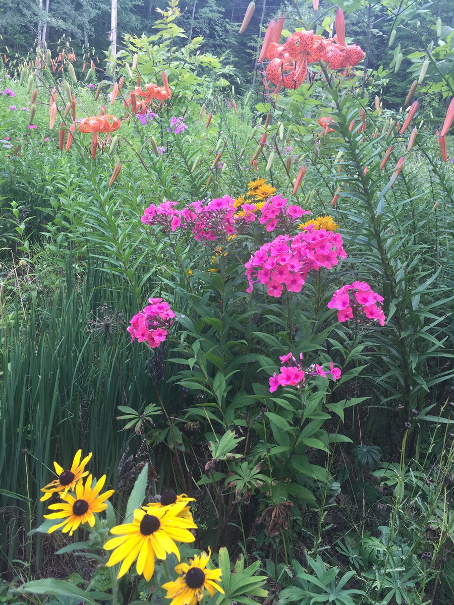 Julie Underhill On Twitter Best Time For The Garden Colours