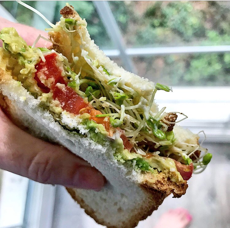 heidistudier's tweet image. mom is a california health nut and would make us kids these disgusting avocado, tomato, pickle, sprout and (vegan) mayo sandwiches...that i now make for myself 🥑 #soundsgross #tastesgood #growedup