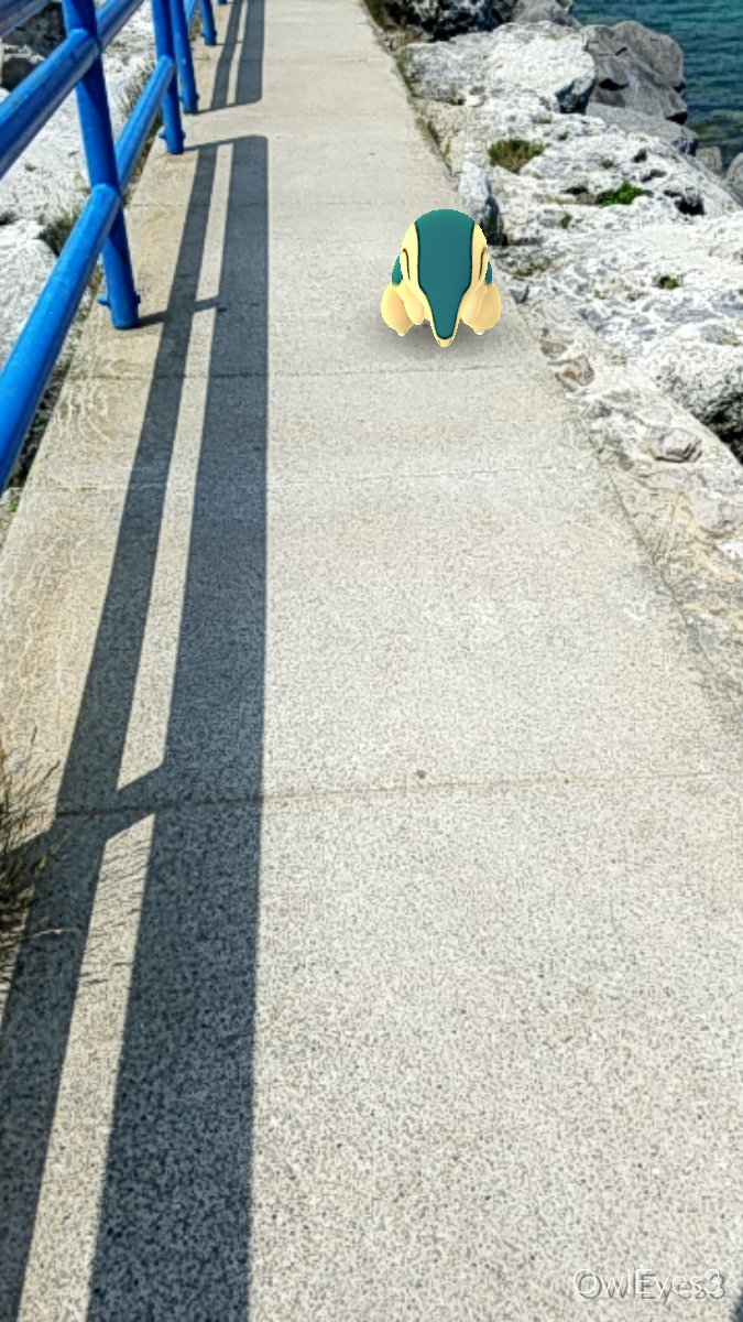Owleyes_3's tweet photo. On my outing to a small beach village, I did snap a few playful photos while in the pretty location.
#ポケモンGO #PokemonGOAR #pokmeongo #pokemonsnap #realpokemonsnap #pokemonfinder #wildpokemon https://t.co/ioAQoCKi2z