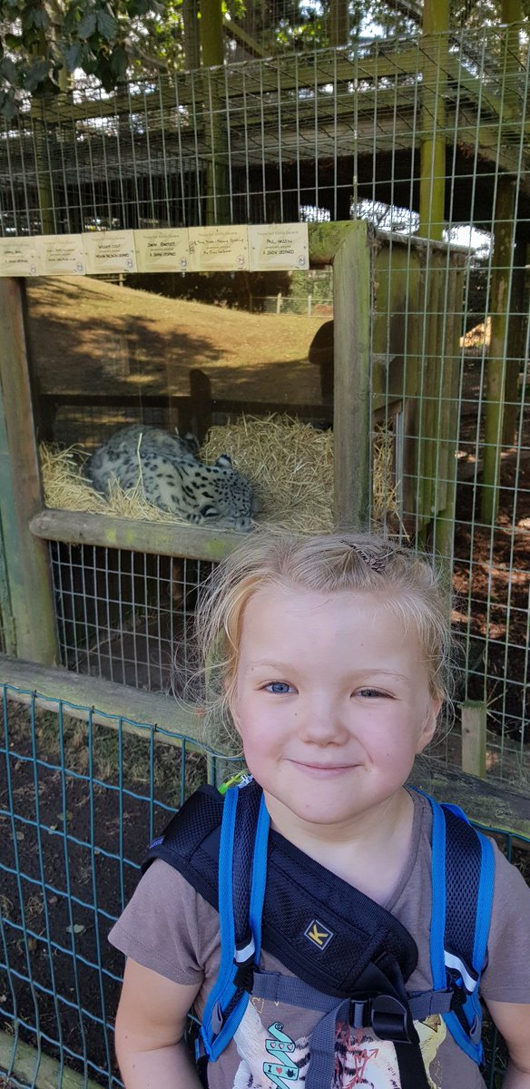 Lucyyamaha's tweet photo. Flick had such an amazing time back at @thrigbyhall on Tuesday. She loved it last year, but it was even better this year. She could have spent a whole day with each big cat. #autismawareness #typical7yearold not #bigcats #Mini_Naturalist #norfolk #holiday https://t.co/z3Gwawr5bA