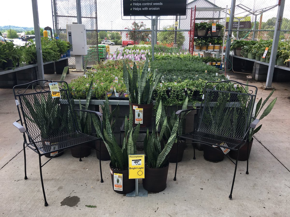 7Karthur's tweet photo. 🌴Awesome new shipment of tropicals at Lenoir City Home Depot!🌴 #HD740 #Knoxville #TheGreenTeam @jaybisping @Jaydeckard @MichaelGPena @CamDaven @GuinnJeff https://t.co/EAzNV6sj7w