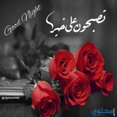 fegeil1's tweet photo. فى الصباح الباكر ان شاء الله تعالى ...
سأدخل غرفة العمليات لإجراء عملية جراحية ...
أستودعكم الله الذى لا تضيع ودائعه ...
على أمل بالعودة ان شاء الله ... 
لا تنسونى من دعائكم ...
  #حساميات_دافئة            #حسام_الجوهرى https://t.co/xA0m3GwpCl