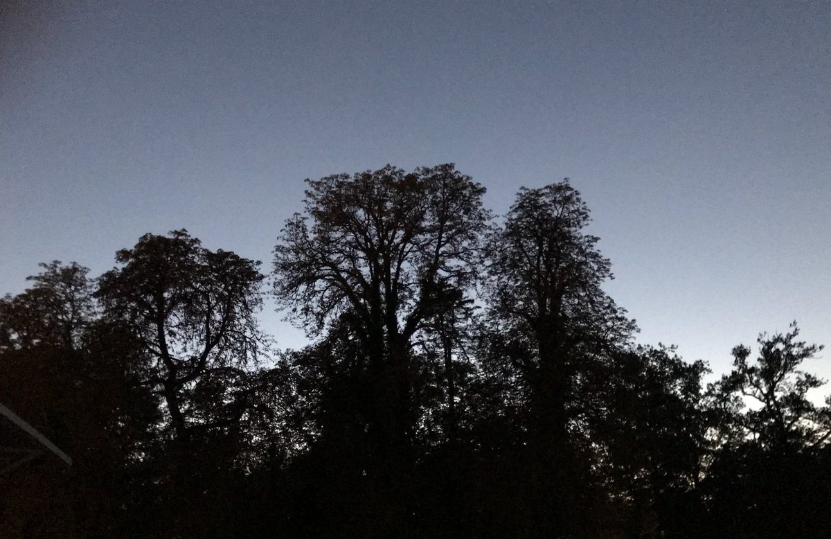 ptebibel's tweet photo. #Canicule : en cette nuit caniculaire, les arbres sont amis car ce sont de véritables îlots de fraîcheur. Végétalisons les villes !  #climat https://t.co/6vRBiHRmjN