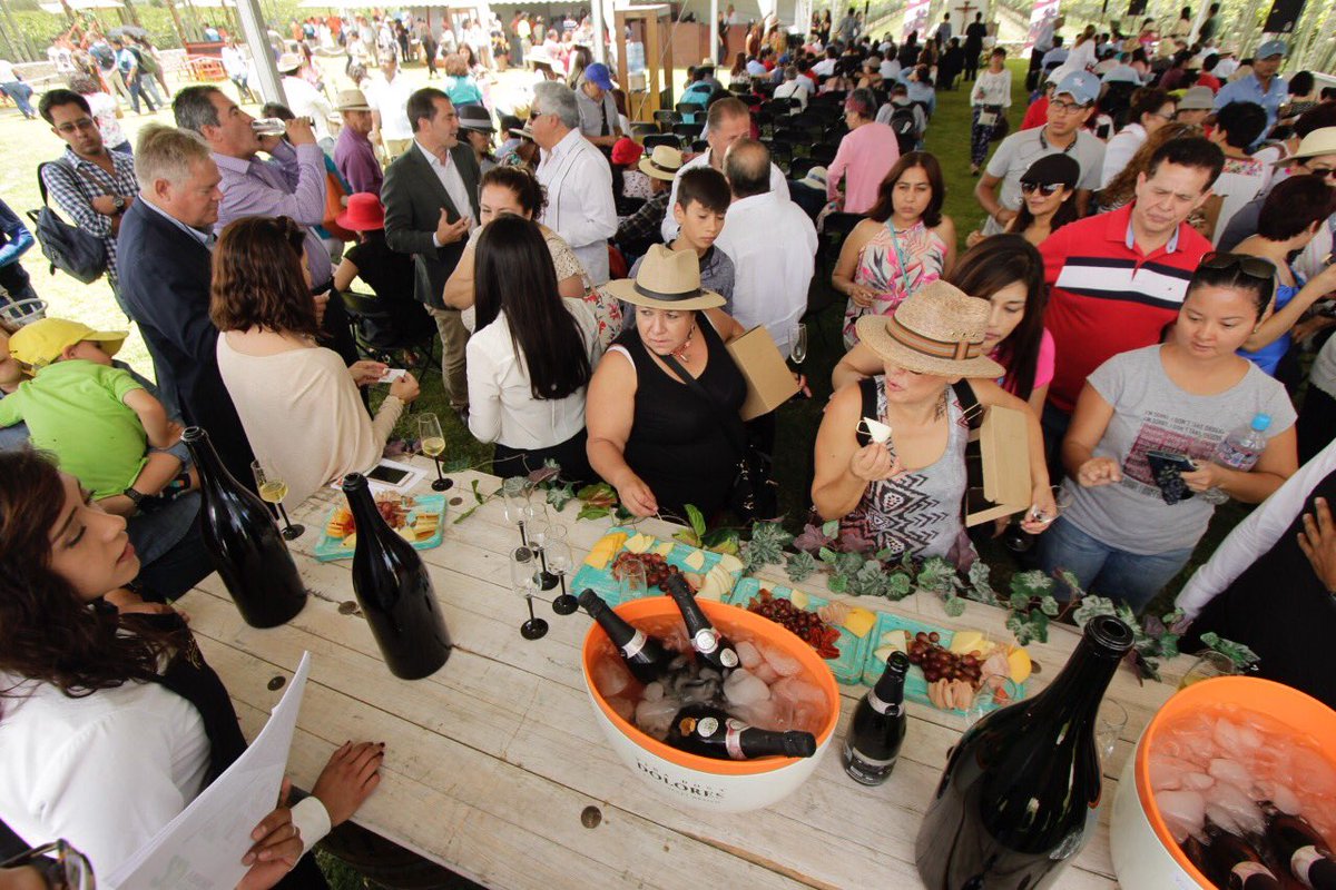 pulsemx's tweet photo. Hoy arranco la fiesta de la vendimia en @freixenet ¿te gustaría ir? Mañana estaremos por allá transmitiendo en vivo. Hoy @arteagafoto estuvo por allá y nos regalo esta fotos.
#vendimia #cavas #freixenet #freixenetmexico #pulseradio #conectadistinto https://t.co/uafrnXEV4X