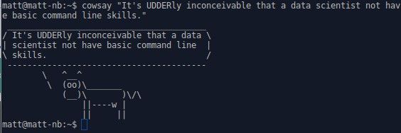 Top 12 Essential Command Line Tools for Data Scientists buff.ly/2FOij9f
