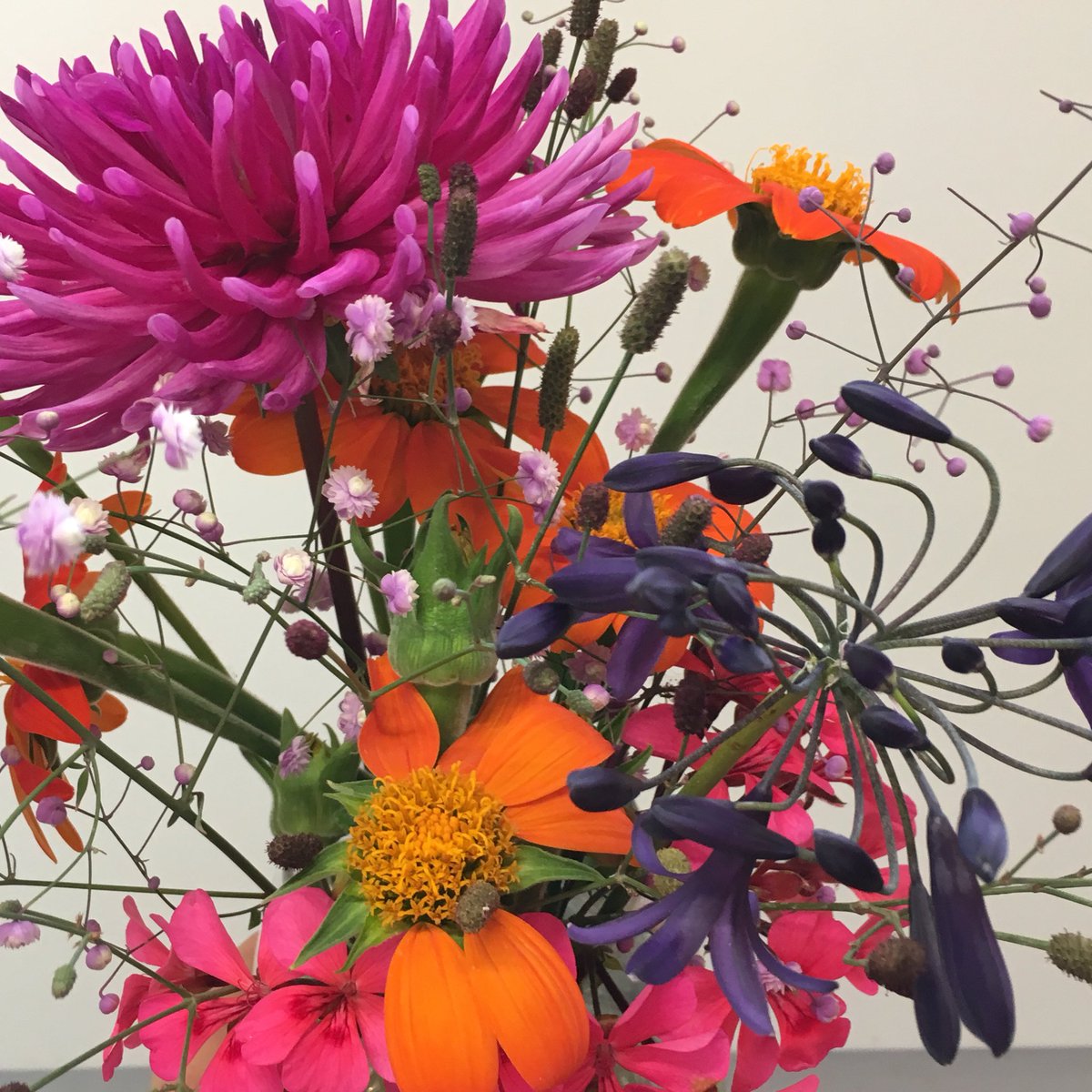 Floral arrangement from the garden ☺️ #floralbrights #freshfromthegarden #growyourownflowers