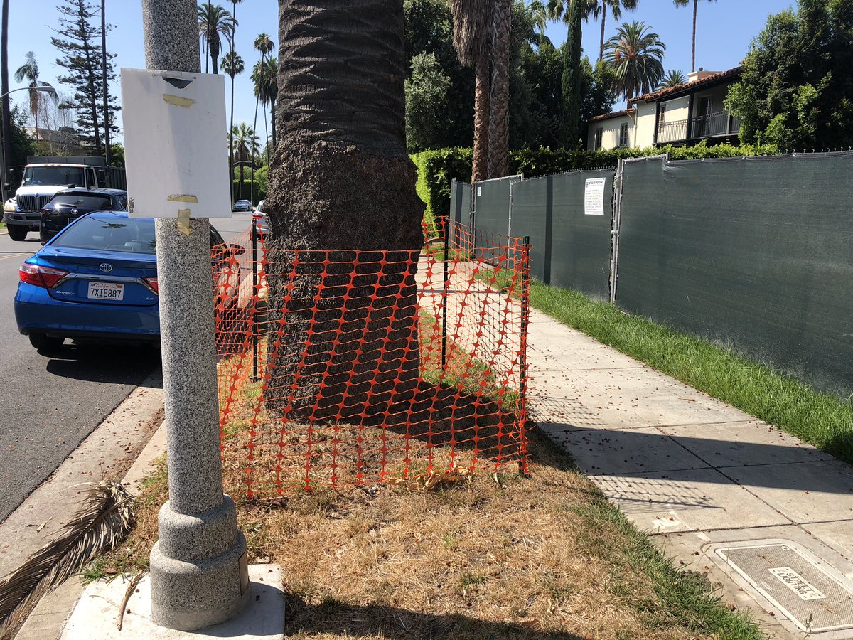 EdgarinLA's tweet photo. @adamcarolla I thought you’d like to see that at least Beverly Hills gets it with the tree protection and common sense. Can’t say much else for them in the building and safety but this is cool. Show this to your permit douches. https://t.co/JRE6b08JSv