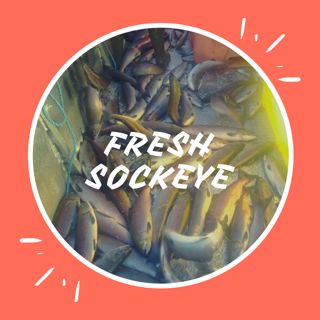 Limited Fresh Sockeye Available
At Penticton's Farmers Market in front of City Hall
Saturday August 4, 8:30am- 1pm
Come early before we sell out!

#Fresh #Salmon #Sockeye #OkanaganSelect #Okanagan #OkanaganLiving #EatLocal