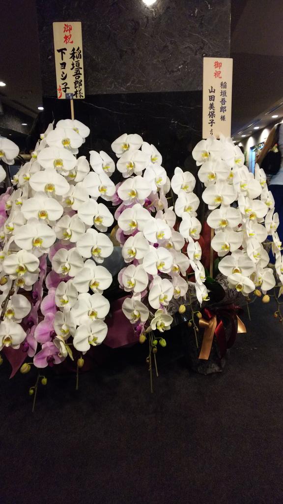 shinju_aobako's tweet photo. #君の輝く夜に #稲垣吾郎 お花。
#EVENTIFY #funity #チケット
#山田美保子
#ほん怖
ありがとうございます。 https://t.co/TFhT6ccIA3