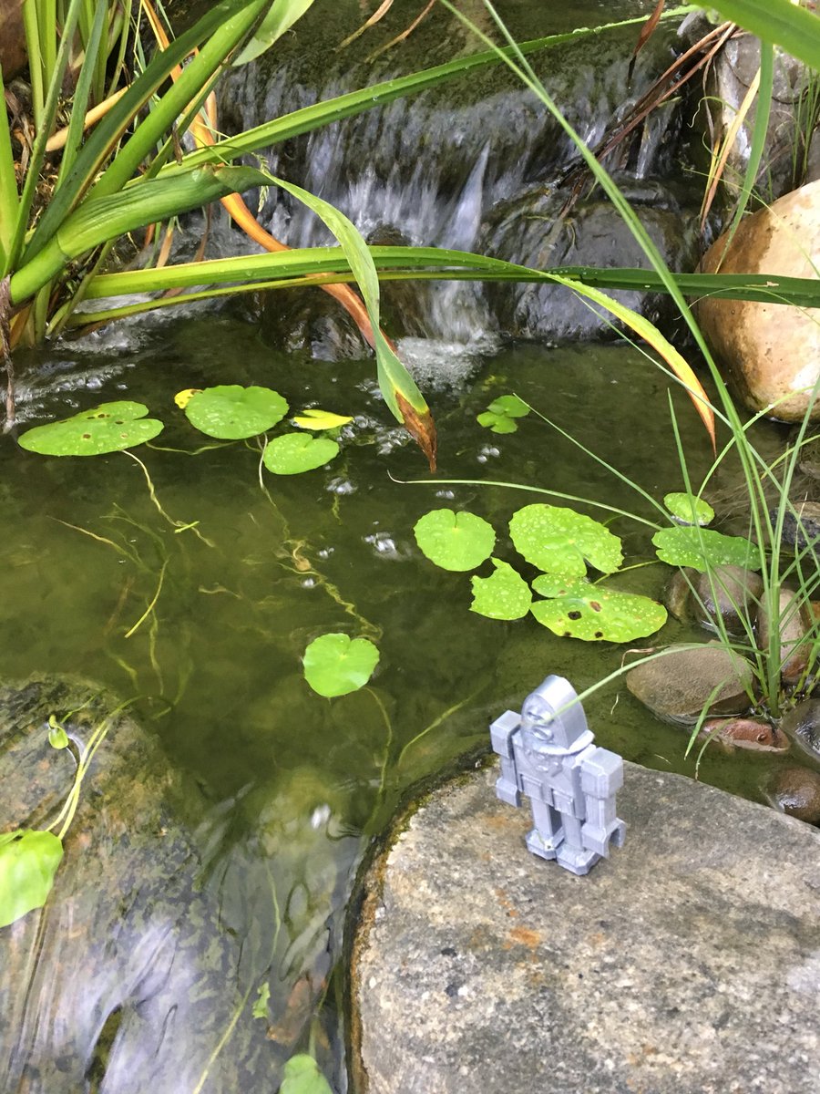 jill_kennett's tweet image. Zonk is enjoying my stream and pond @STEMCampEDU @Zonk_STEMBot #STEMCampEDU