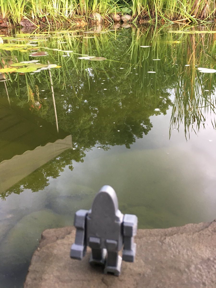 jill_kennett's tweet image. Zonk is enjoying my stream and pond @STEMCampEDU @Zonk_STEMBot #STEMCampEDU