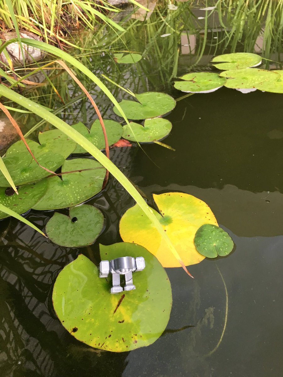 jill_kennett's tweet image. Zonk is enjoying my stream and pond @STEMCampEDU @Zonk_STEMBot #STEMCampEDU