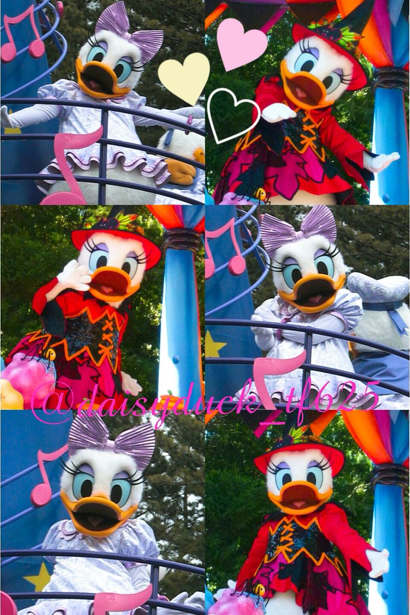 daisyduck_tf625's tweet photo. D用新垢なのでお友達募���中♡
海も陸も好き♡
一眼なし/過去のお写真失礼します
♡からもお迎え行かせて頂きます！

#Dヲタさんと繋がりたい
#twitter上にいるDヲタ全員と繋がるのが密かな夢だったりするのでとりあえずこれを見たDヲタはRTもしくはフォローしていただけると全力でフォローしに行きます https://t.co/5RGSzyPhRW