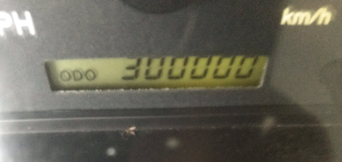 holdenparker55's tweet photo. 300,000 miles old, and it's still my dream truck! @Toyota @ToyotaRacing @TacomaPics #2000Tacoma
#ToyotaTacoma
#TRDOffRoad #FirstVehicle #OnlyVehicle https://t.co/CMVFFtm3RY