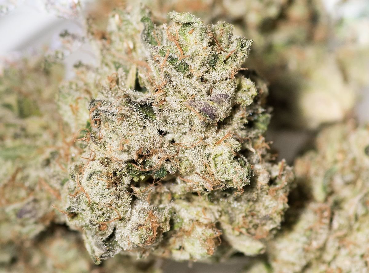 This gorgeous nug from #northernemeralds is the strain Lemon Thai. According to @leafly, Lemon Thai is great for those looking for a creative spark. It causes users to feel introspective, focused, and thoughtful. This #strain features a pleasant lemony-mint taste, yum.

#cannabis