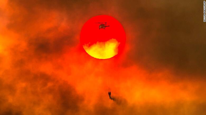 Graftacus's tweet photo. @realDonaldTrump @greggutfeld @TheFive You’re gonna need more extinguishers #tRUMP! 
What with the wildfires, your ongoing #StupidAss ignorance over #ClimateChange &amp; now you’re striving to eliminate #CommonSense #CAFEStandards.
You really are the dumbest #SOB ever to set foot in the Oval Office 🤔🤷🏼‍♂️🤦🏼‍♂️ https://t.co/XPNp9yZz7x