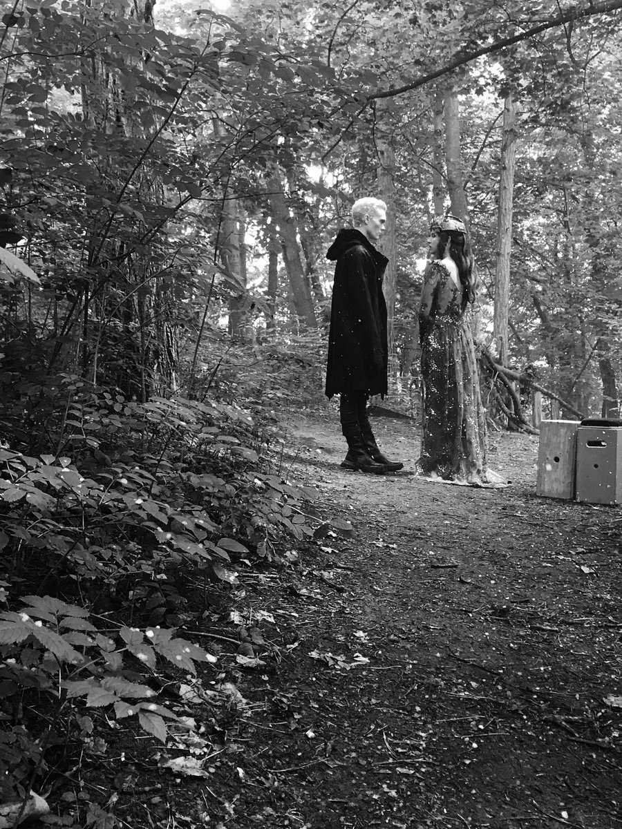 Znalezione obrazy dla zapytania Kimberly-Sue Murray: The Seelie Queen