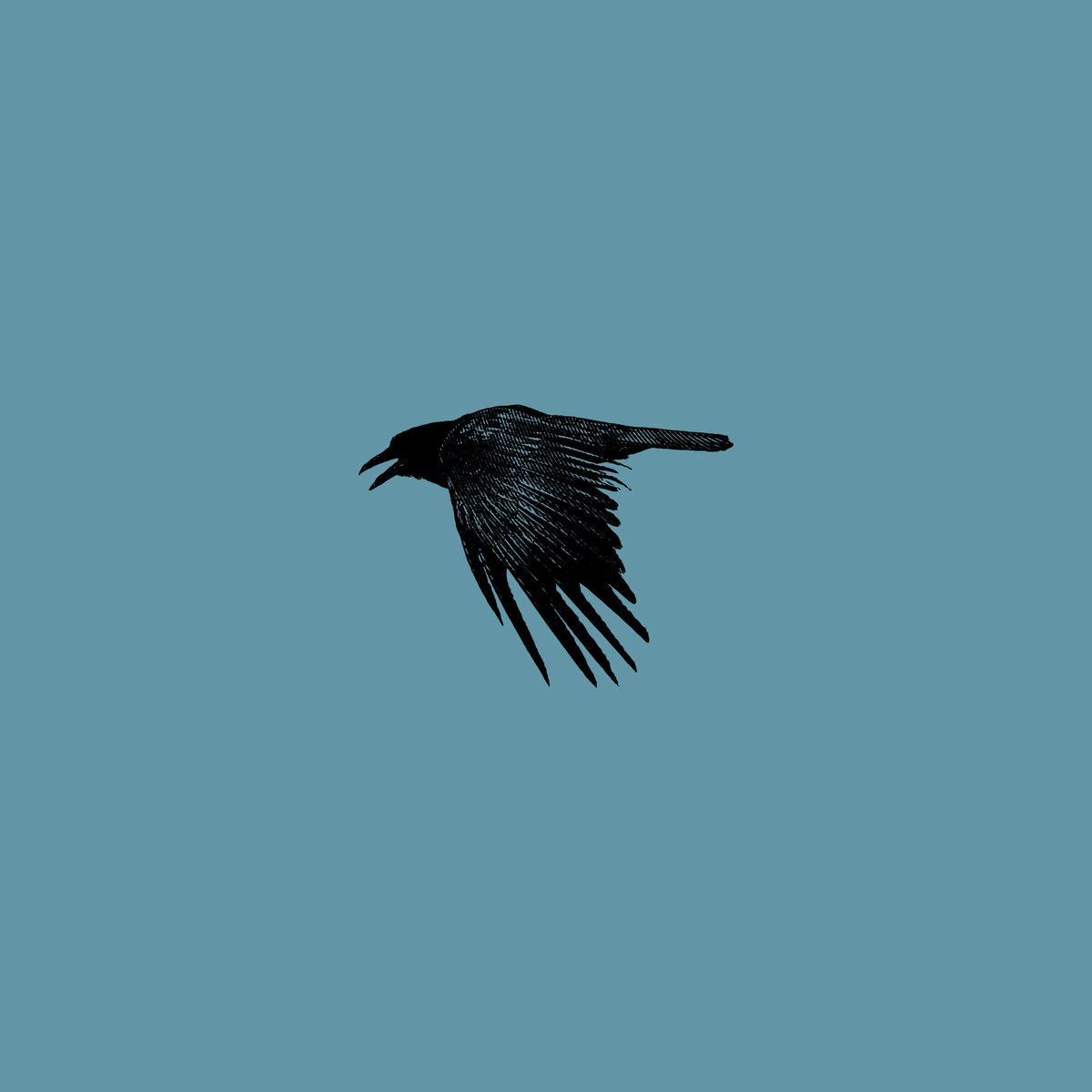 pelegrim's tweet photo. THE RAVEN DIARIES
15 tracks of pure Pelegrim. Now available on all the usual music outlets. 
https://t.co/QvyFagXYNh https://t.co/3y3TmSoUaR