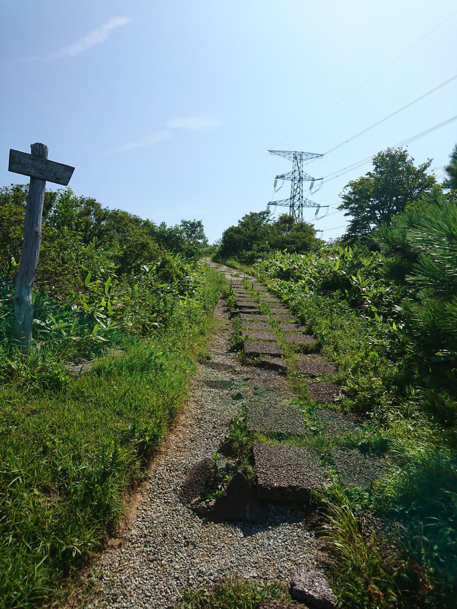 国道２８６号 Twitter Search Twitter