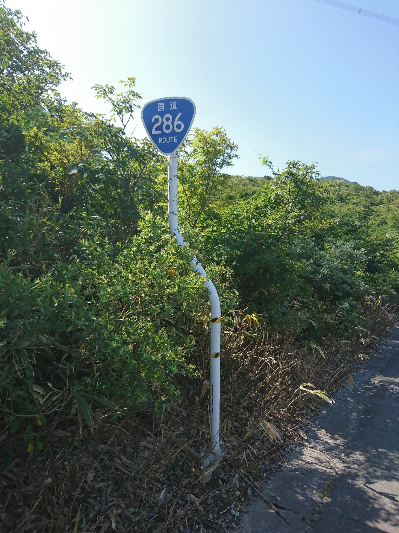 国道２８６号 Twitter Search Twitter