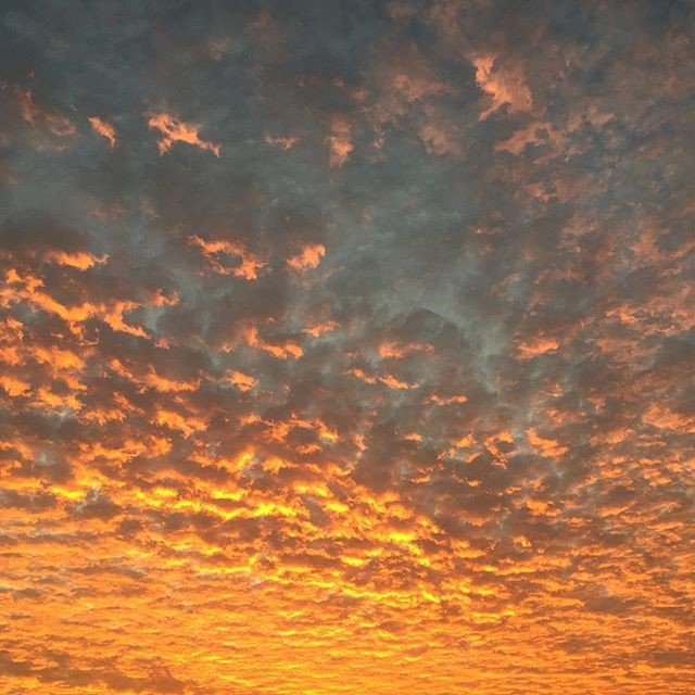 AravindUzumaki1's tweet photo. Reposting @cloudy_moments: - via @Crowdfire
@cloudy_moments #cloudy #cloudymoments #sunset #sunrise #sun #TFLers #pretty #beautiful #red #orange #pink #sky #skyporn #cloudporn #nature #clouds #horizon #photooftheday #instagood #gorgeous #warm #view #night #morning #silhouette https://t.co/SDkD1bQQoV
