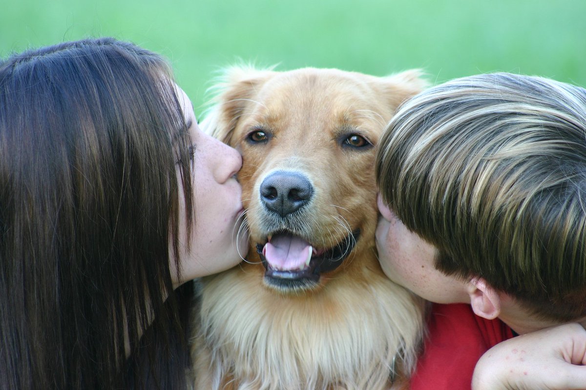 shirindhabhar's tweet photo. Dogs often bite children because young kids don’t recognise a warning when they see or hear one It is up to the adult to keep a child safe from a dog & a dog safe from children. Never leave a young child alone with a dog, not even for a minute
#bitingdog #kidsanddogs #dogsafety https://t.co/7nbOspAKcb
