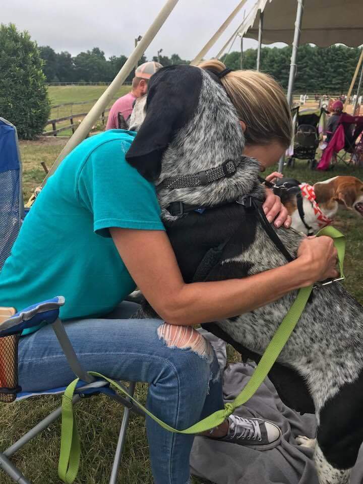 augustadogadopt's tweet photo. DOROTHY HAS THYROID CANCER! She needs someone to make her feel like the princess she is! She shows no symptoms at this point and even without specialty surgery or chemotherapy (which we are not going to do), Dorothy could live anywhere from 6 months to 3 years! 
#cancersucks https://t.co/06yPgGt4DK