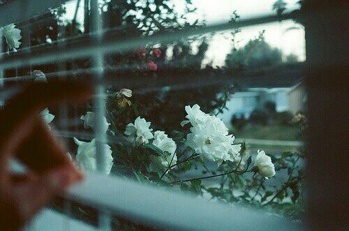 إنه لمن المُحزن كوننا نتعايش مع الأشياء الموجودة، لا المرغوبة...