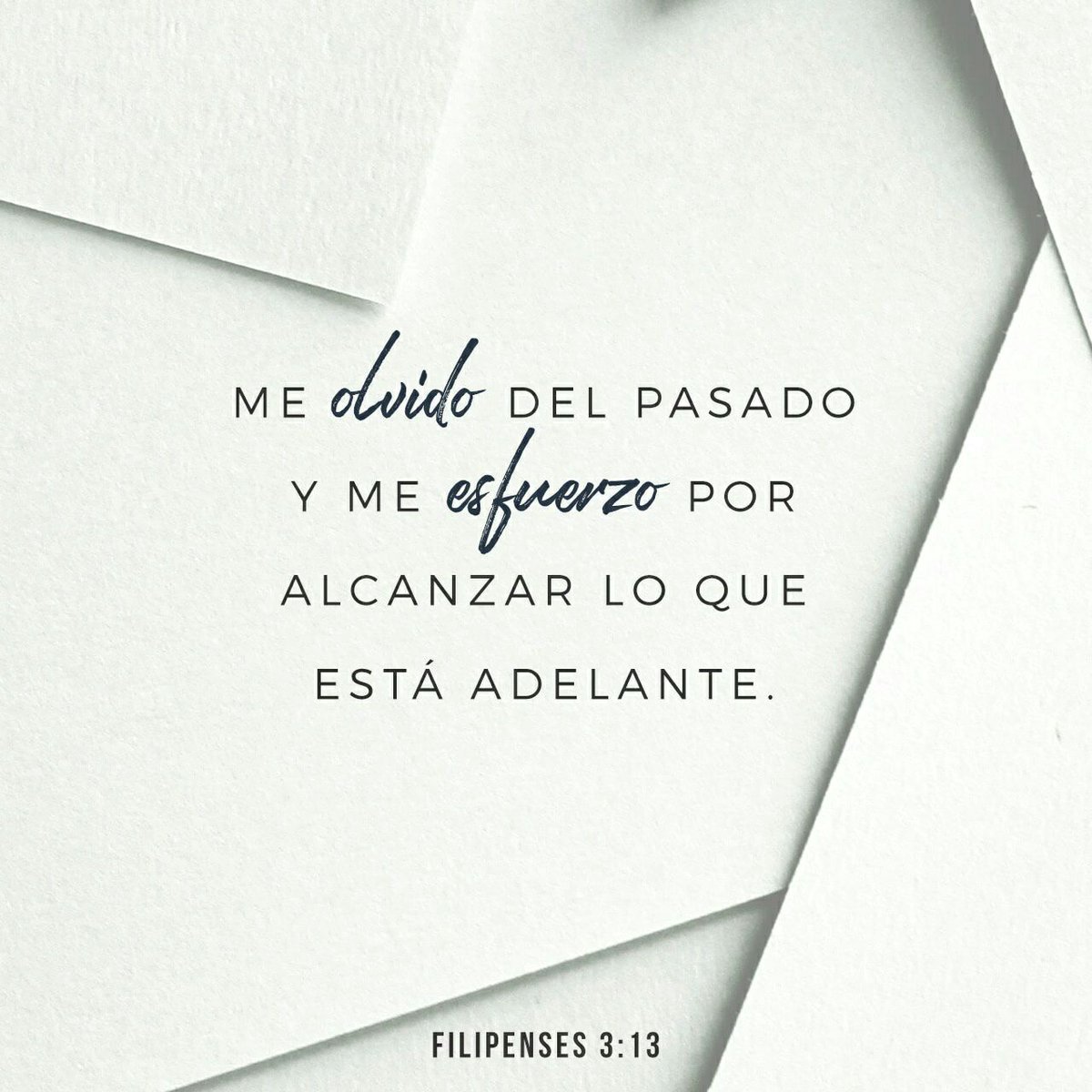 agsot's tweet photo. No, amados hermanos, no lo he logrado, pero me concentro únicamente en esto: olvido el pasado y…
https://t.co/dioyJ0DF3O https://t.co/cS1tGmSfM2