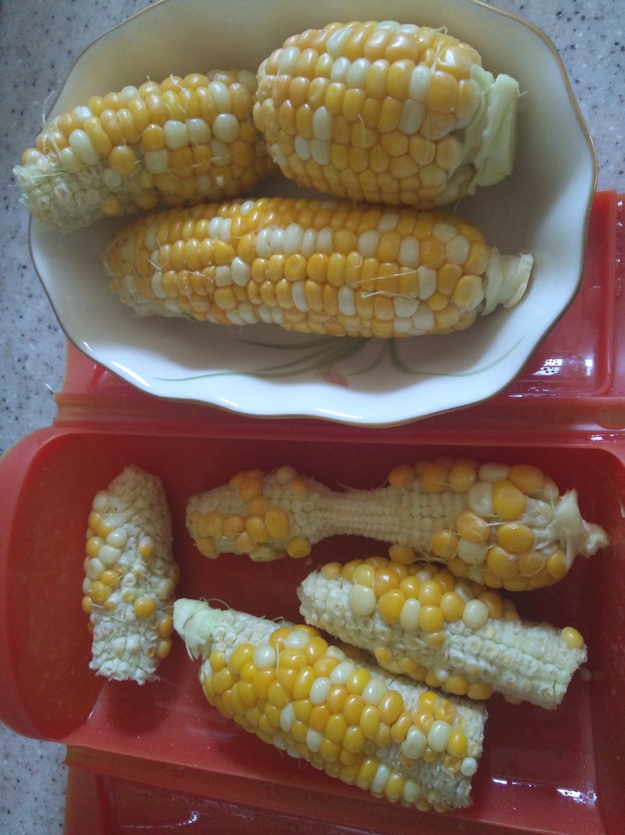 ゆず れおんとお庭 V Twitter トウモロコシ 実入りが悪そうだったけどアブラムシが付いてたから１本残して収穫 雌花の咲くタイミングが雄花に比べあまりに遅く 人工受粉はやったけど大雨だったり上手く受粉できてなくひどい歯抜けでガックリ 取り敢えずレンジで