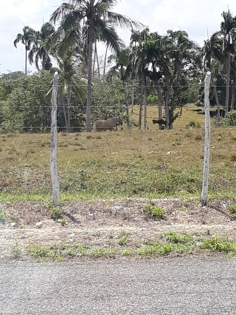 Zabria1201's tweet image. Beauty #symbolicpower