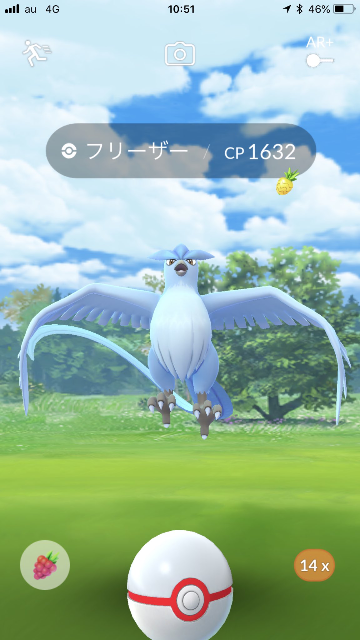 画像 1時間ちょいでフリーザーの色違いとグラサンゼニガメの色違い三匹と普通ゼニガメ色違い1匹 ここまでは調子いいぞー 少し早めに休憩とって また午後から まとめダネ 画像 1時間ちょいでフリーザーの色違いとグラサンゼニガメの色違い三匹と普通ゼニガメ色違い1匹 ここまでは調子いいぞー 少し早めに休憩とって また午後から まとめダネ