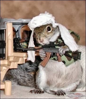 GateSquirrel's tweet image. Known Terrorist leader funded by the Clinton Foundation.