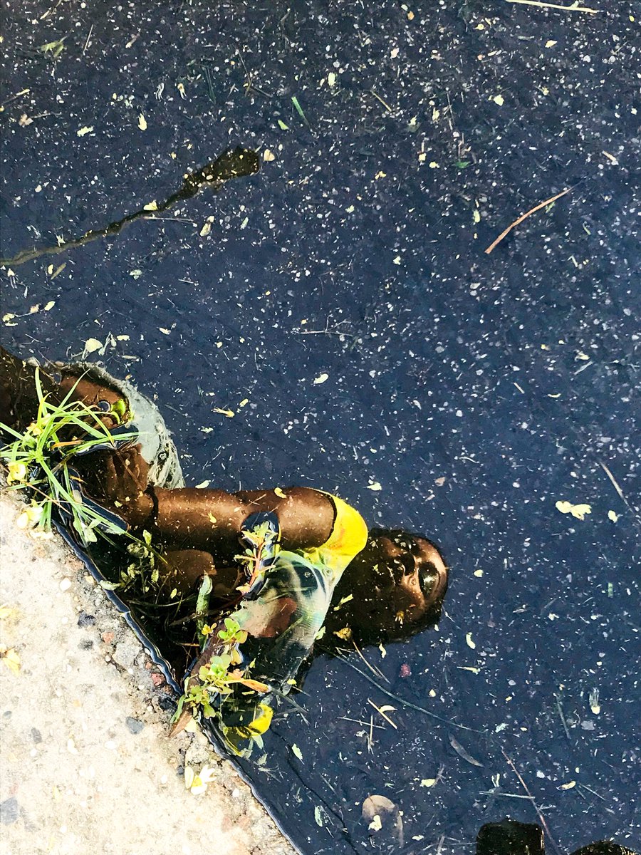 indythebay's tweet image. Wetter den puddles 💧#indybay