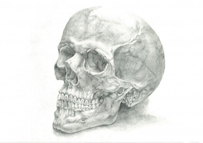 昔描いたデッサン達 