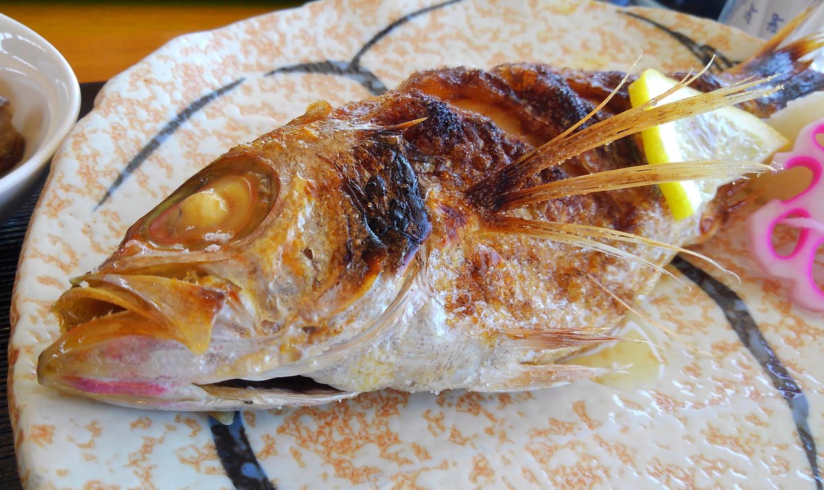 תג しまねお魚センター בטוויטר תג しまねお魚センター בטוויטר
