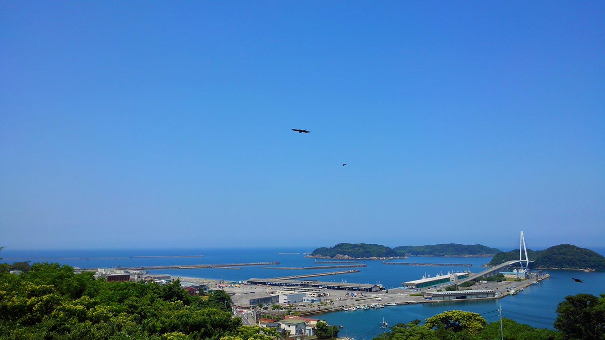 תג しまねお魚センター בטוויטר