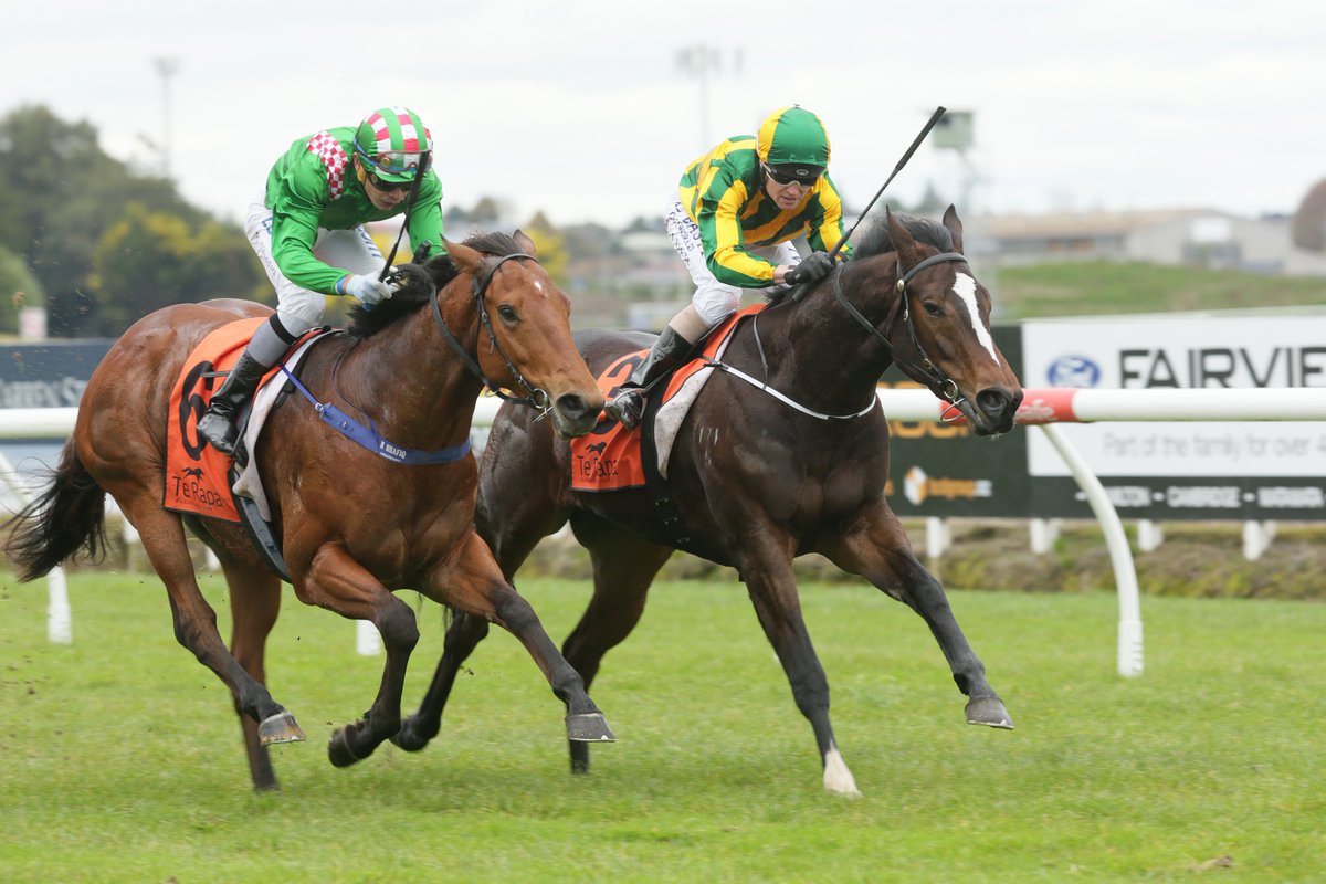 nzracingnews's tweet image. NEWS: @BallymoreStabls #TinyTerror got his debut win but it was not without controversy after a stewards' enquiry promoted the son of #Shamexpress over the wayward finishing Von Trapp @TeRapaRacing racingnews.co.nz/blog/post/3109…