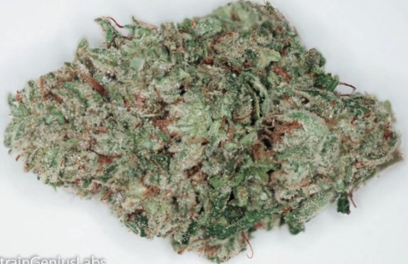 StrainGeniusLab's tweet image. Check out the Wedding Cake we tested for Green Life Medical THC: 21.05% CBD: 0.11% CBN: 0.05% #MMJ