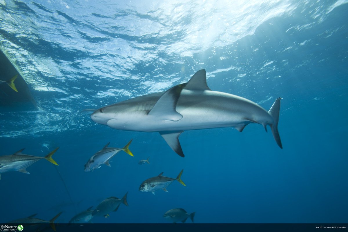 feeleengpost's tweet image. 