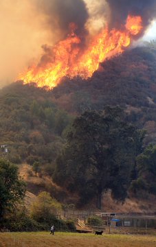 MORE CA. FIRE UPDATES FROM NORTHERN CA. Djuy_nNUUAADnox?format=jpg&name=360x360