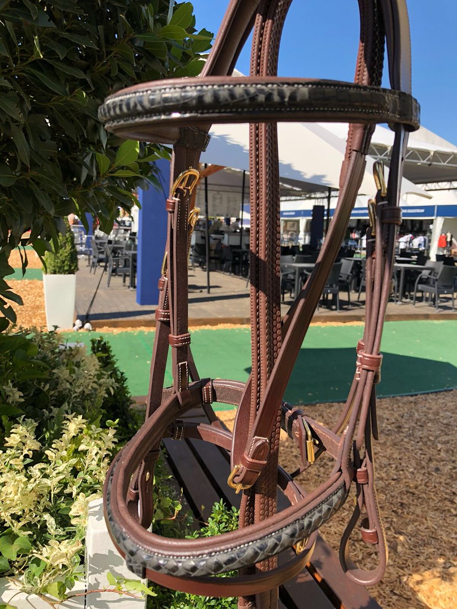VERO Equestrian tweet media