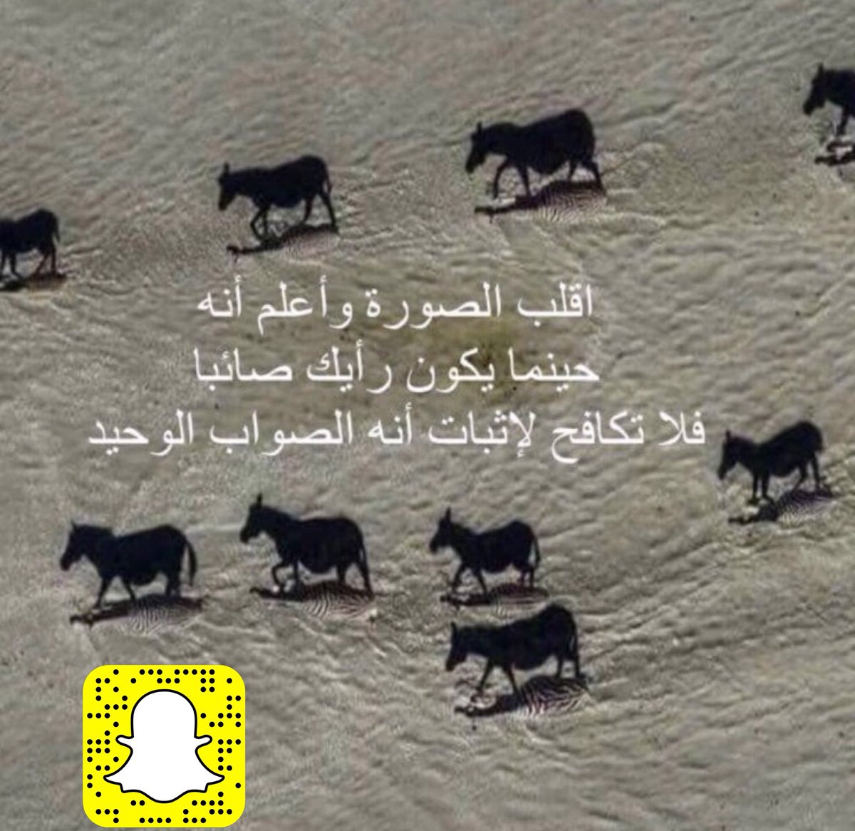 <a href="/y_m9y/">‏‎@y_m9y</a>
#العنود_للدعم
#المقابيل_للدعم
#الصداقة_للدعم
#قروب_غيم_للدعم
#قروب_سيف_للدعم
#نلتقي_لنرتقي_للدعم
#عطر_البوح_للدعم
#للمحبة_عنوان_للدعم
#غربة_مشاعر_للدعم
#دارين_للدعم
#أوتار_الحب_للدعم
#دعم_ص
#دلع_للدعم