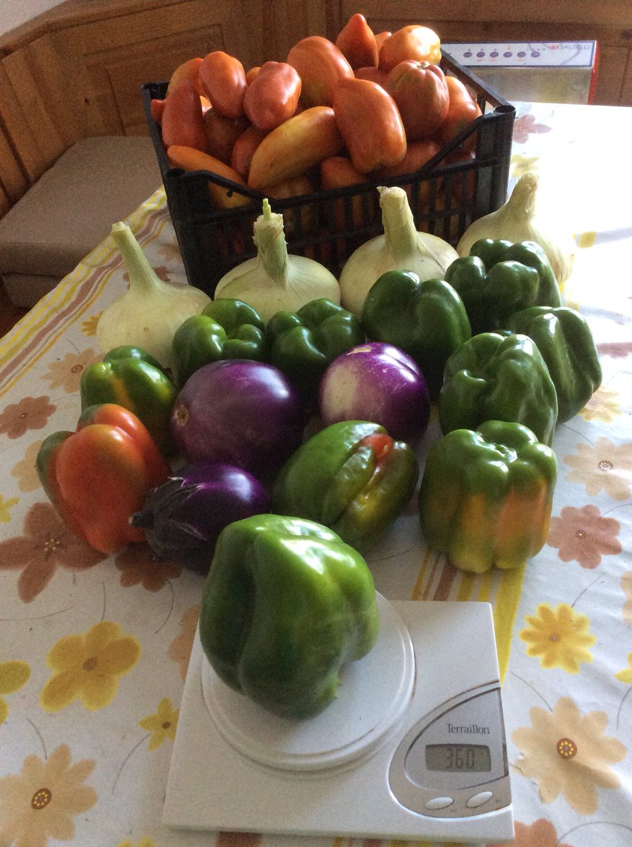 messelod's tweet photo. Oggi sugo alle cipolle, peperonata e melanzane alla parmigiana! Il pranzo è servito! https://t.co/lDpEo09bzh