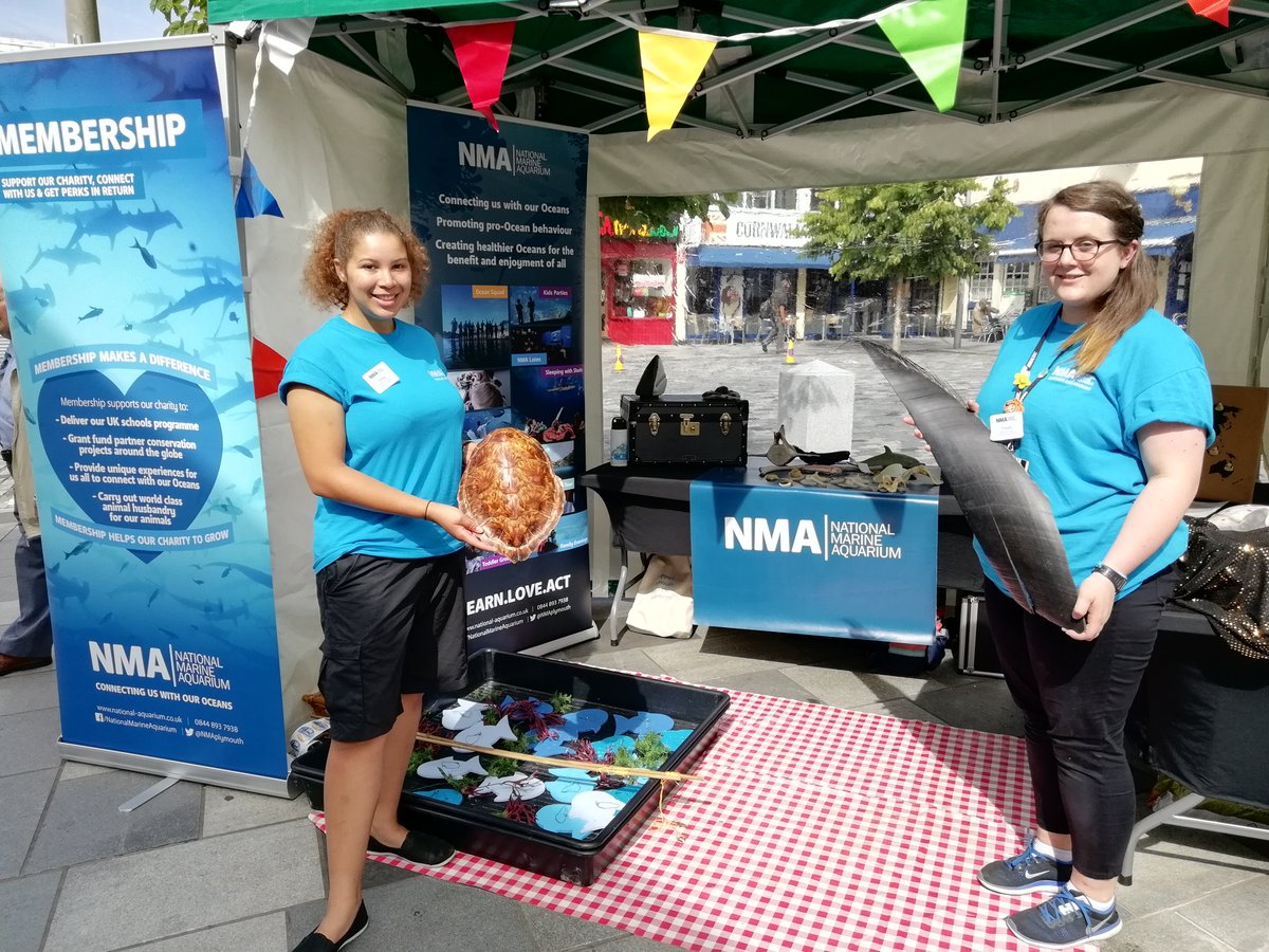 The Aquarium is at City Market West End Carnival event. Come down and play some games and see a turtle shell @plymouth_market @NMAPlymouth