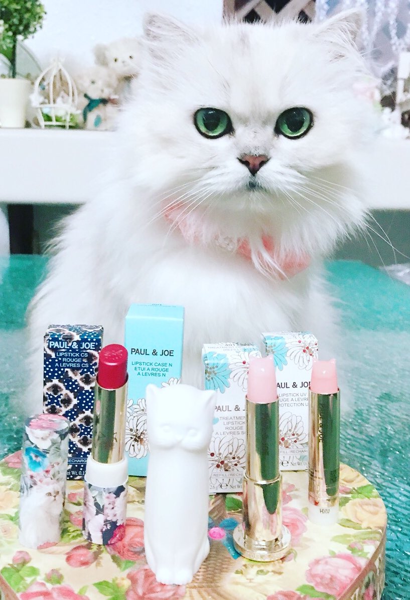 Nana ポール ジョーの 白猫ちゃん ねこ型のリップとケース 可愛すぎ Paulandjoe ポールアンドジョー ポールアンドニャー チンチラシルバー チンチラシルバーの会 ねこ好きさんと繋がりたい Nana ポール ジョーの 白猫ちゃん ねこ型のリップとケース 可愛すぎ Paulandjoe ポールアンドジョー ポールアンドニャー チンチラシルバー チンチラシルバーの会 ねこ好きさんと繋がりたい