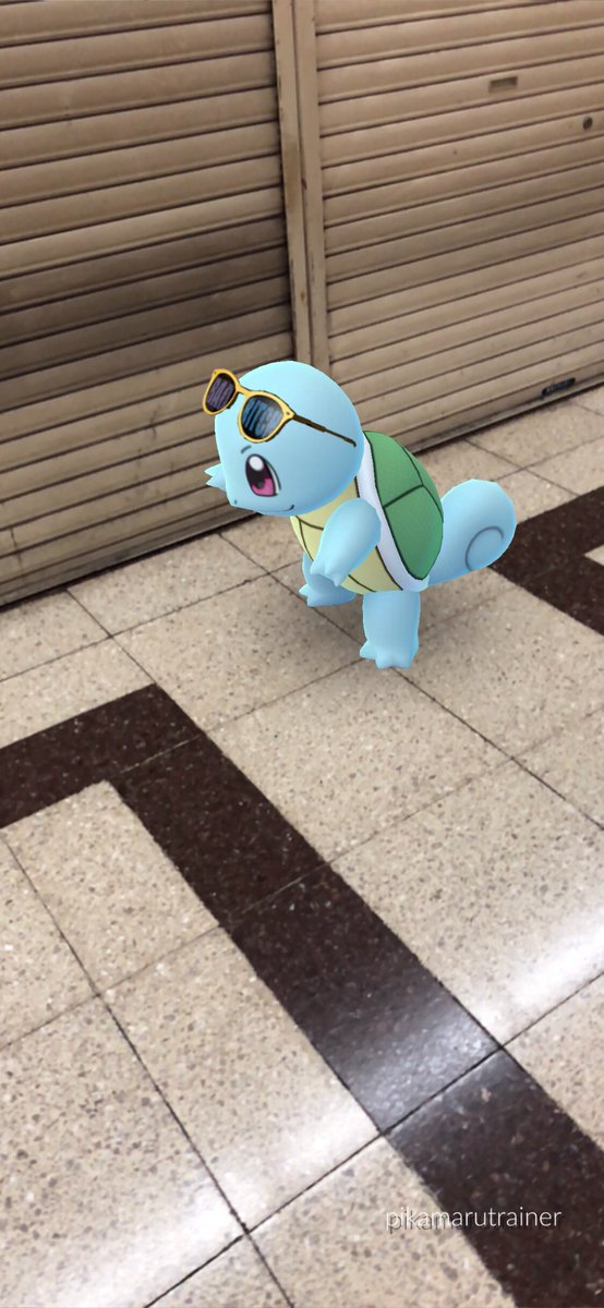 色違いゼニガメ 色違いゼニガメ